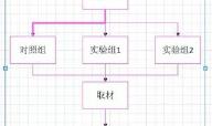 word复制粘贴不能用